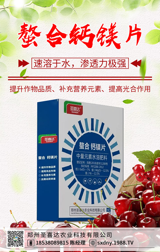 ���E��ʲô�@ô���˚gӭ�����E���Ј��������