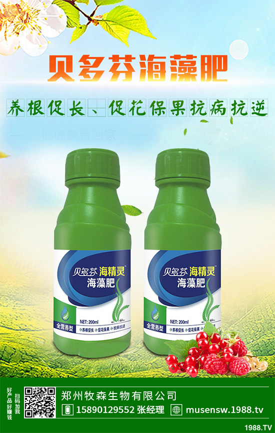 ���E��ʲô�@ô���˚gӭ�����E���Ј��������