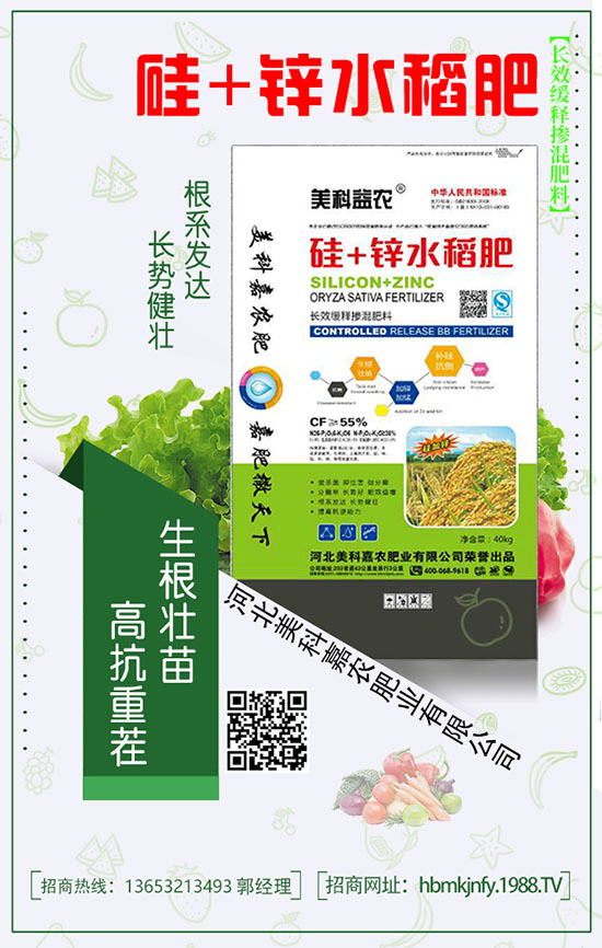 �������������ڏ�(f��)�Ϸ��а�������Щ��ɫ��