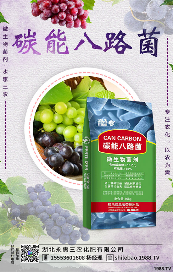 2020�괺��(ji��)���S�r(ji��)���Ƿ��ϝq�����l(f��)�r(ji��)�����Xһ����S�Nֲǰ����