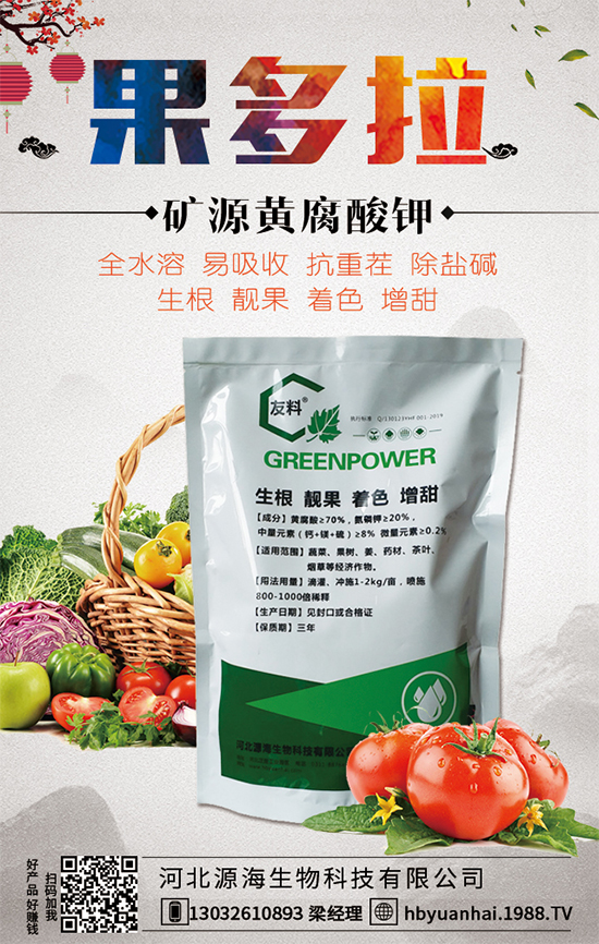 ������Ճr������Xһ�2020�����Nֲǰ�������