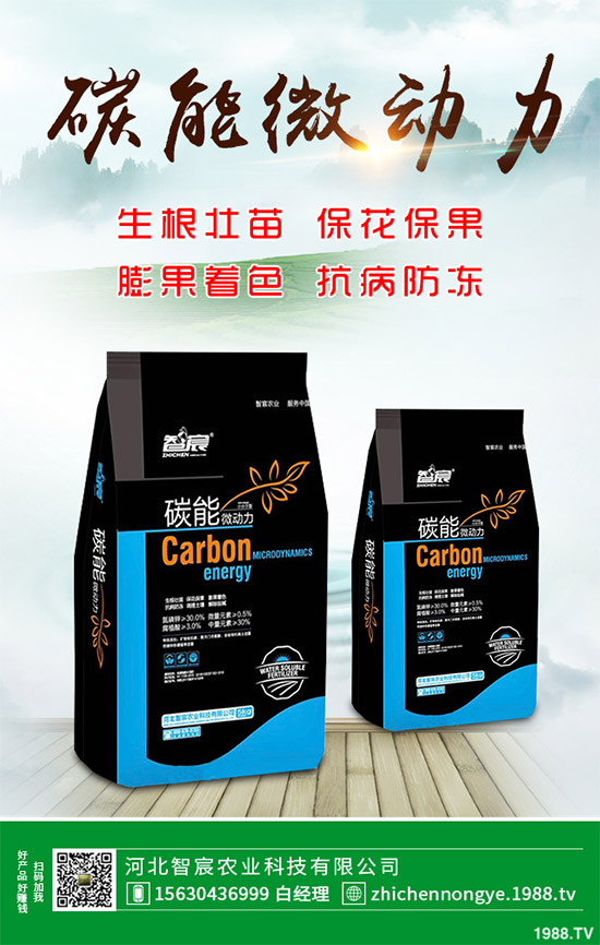 ħ��ԓ��ô�N��ħ��߮a(ch��n)�Nֲ��������