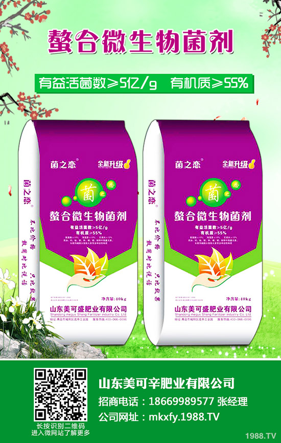     2019-12-11���@�����MչǷ��������������@�r���rһ�[