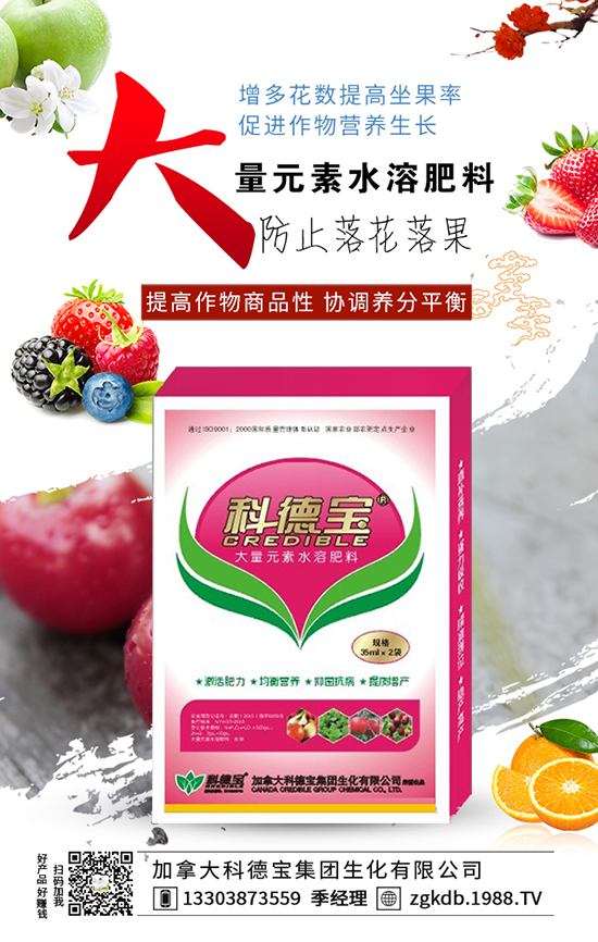 ������˥ԭ�� ������˥���η���