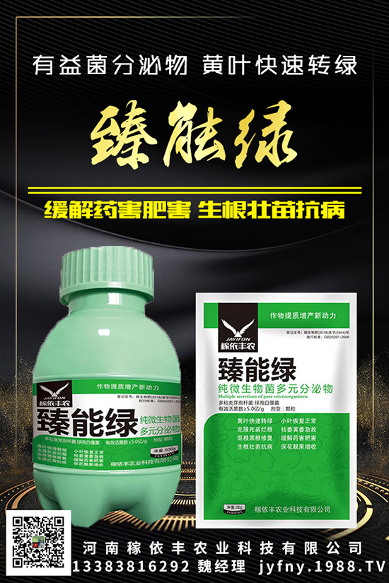 ⛷ʲ�İ������(du��)�����Ӱ���֪���᣿