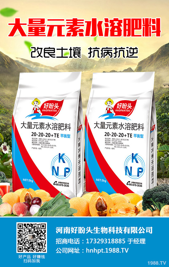 С������ĺ�̎����Щ��С������ע��Ҫ�c(di��n)��