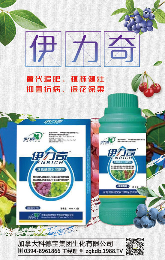     �R�����P(gu��n)�����@�����Ƿ��ϸ���2020����@�r(ji��)�������߄�(sh��)�A(y��)�y(c��)��