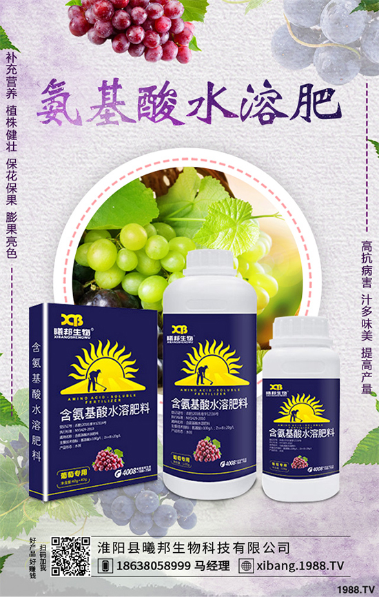 ����Nֲʲô��ٍ�X��2020���ߴ�ٍ�X�Nֲ�(xi��ng)Ŀ�����(l��i)��������