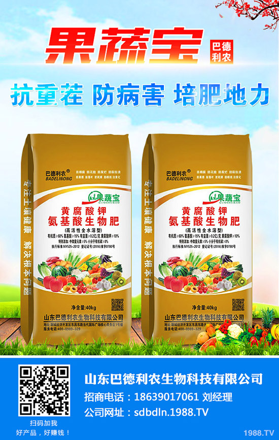     �P��a(ch��n)��������������Nֲ�P��ٍ�Xô��2020��Nֲǰ�������