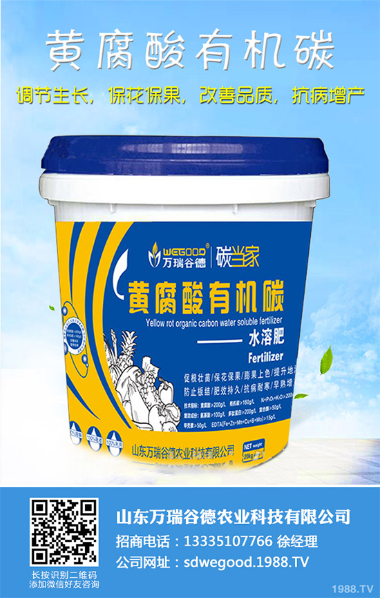 ħ��r(ji��)������Xһ����2020��ħ��Nֲ���Ј�����