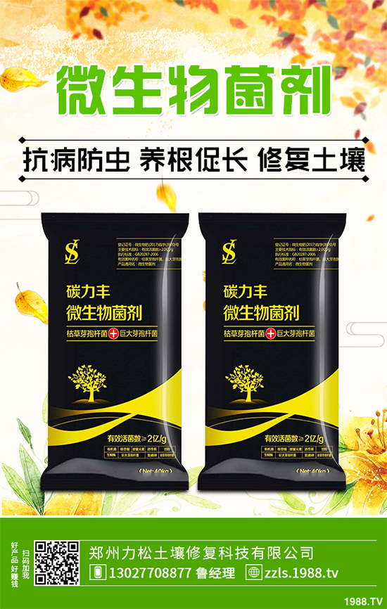 �Nֲʲôˎ����ٍ�X��2020����ˎ�ķNֲǰ������