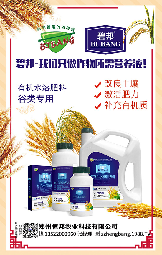 ����������Щ��̎������Ĺ�Ч���ü�ʳ�ý���