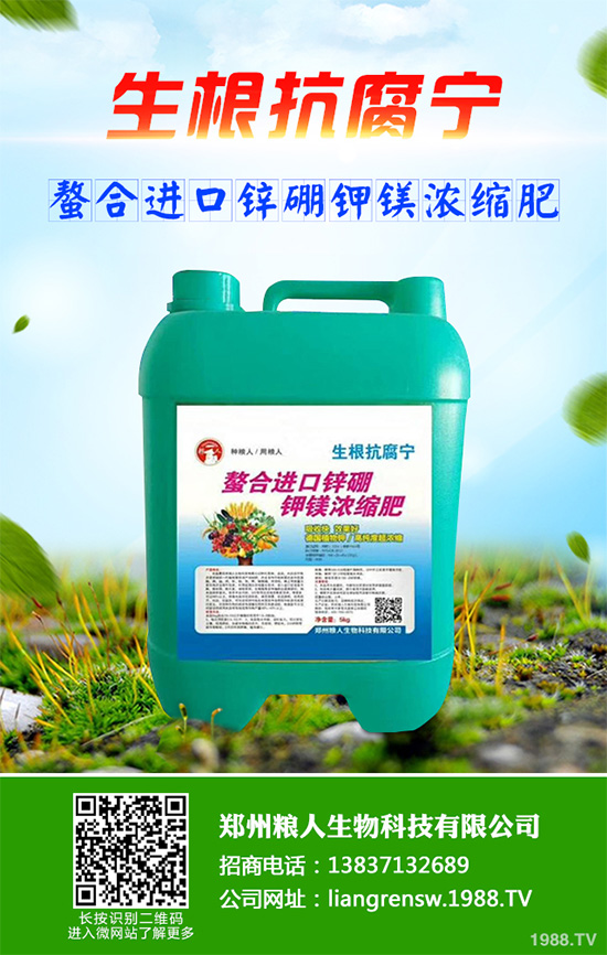 ���r����͸���������Щ�^(q��)�e���ǂ�(g��)Ч��������