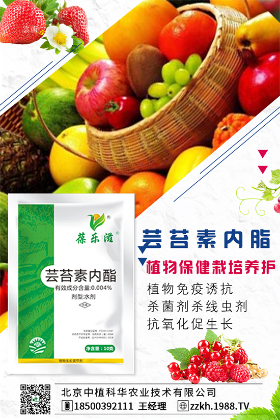 �ʽ�ʲô�r�g�Nֲ���ʽ��ĸ߮a(ch��n)�Nֲ������