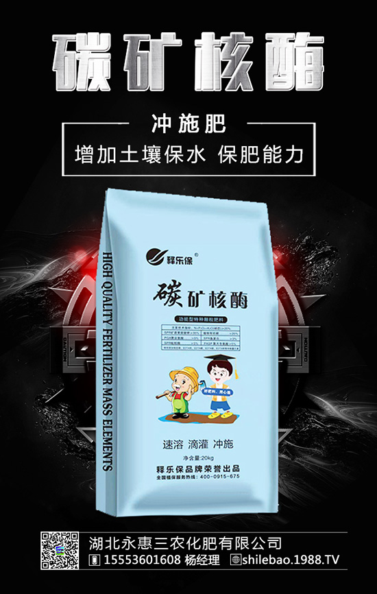 �����롰���������������ʲ����^�L������������