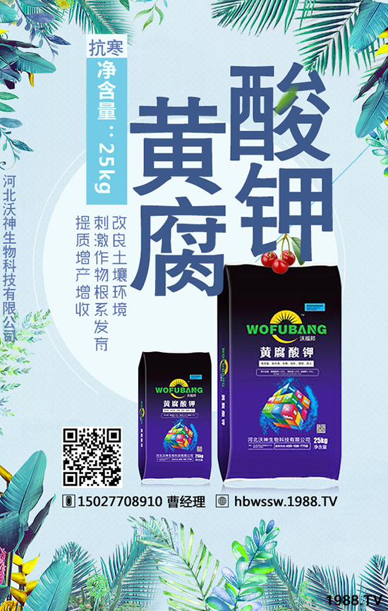 ��������Ч�ı��|(zh��)�چ�����������c(di��n)�M(j��n)�������a(ch��n)����