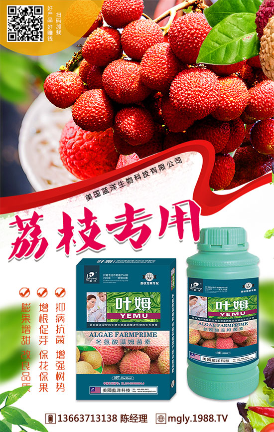 �t�탦(ch��)�ص����أ��t�탦(ch��)������Щ������