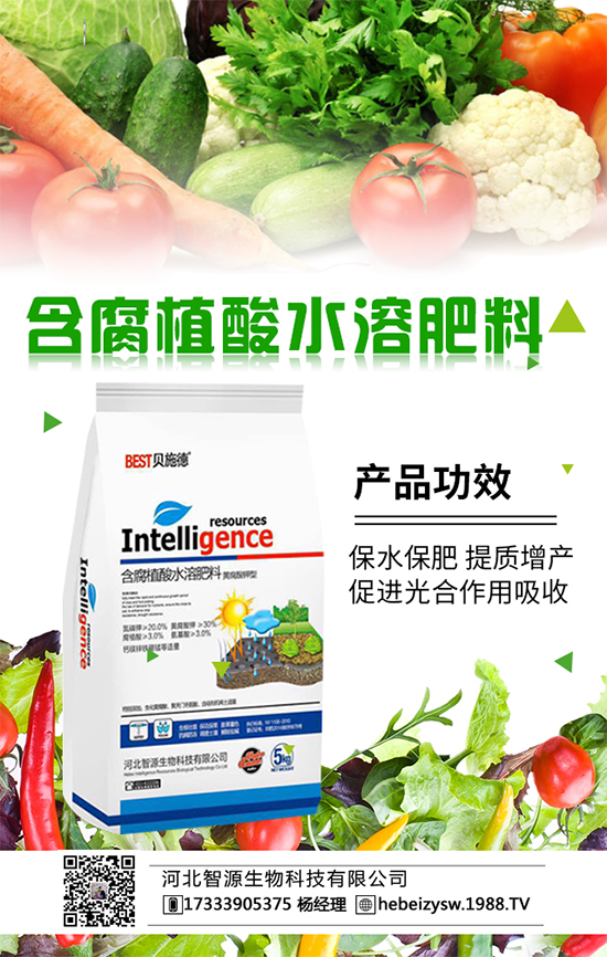 ��Ů����ɻ�ۣ���ô����ˎ����������