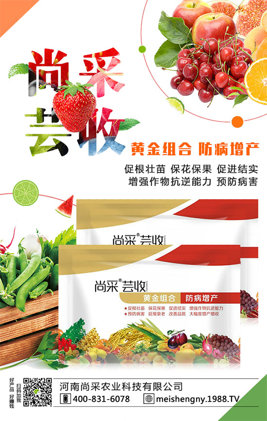 ���������ʵ͵�ԭ����ʲô�أ�������������������