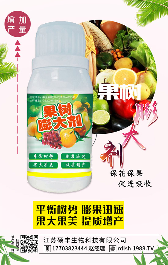 ��ľ���Ĺ�Ч�c��������ľ�����ʳ��������Щ��