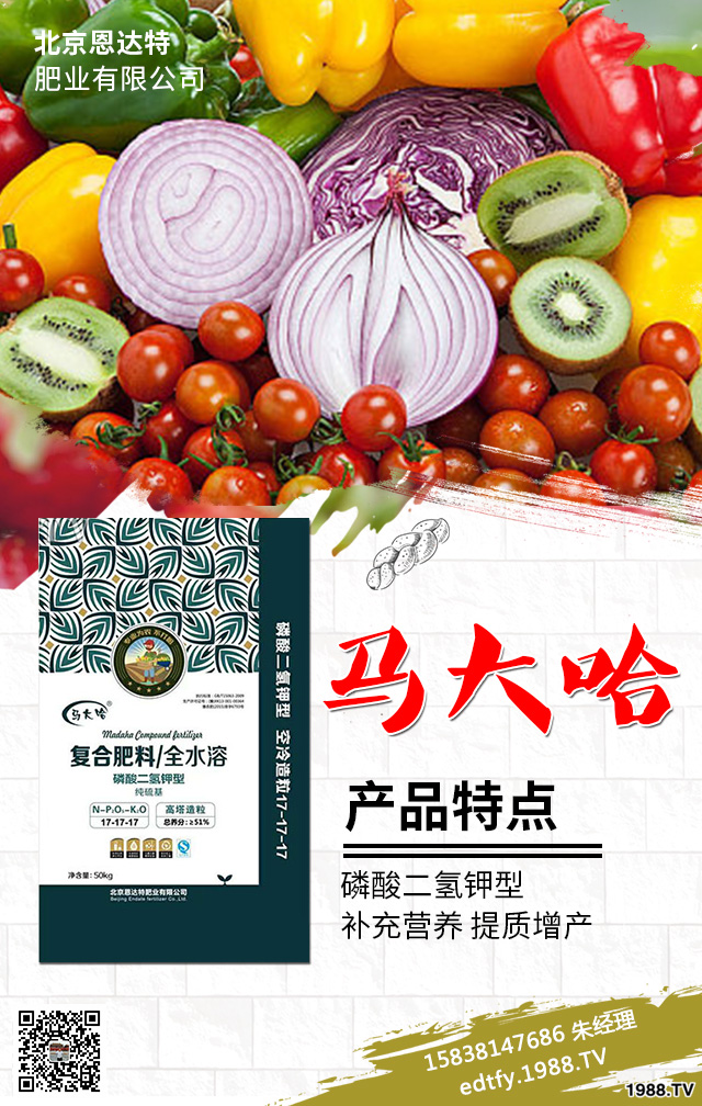 �����߲�ʩ���д�����Щ���}�������߲˷Nֲ���g(sh��)