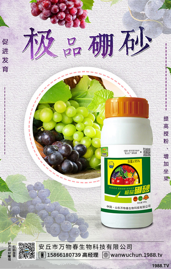 �����ηNֲ����轷Nֲ�l������Щ��