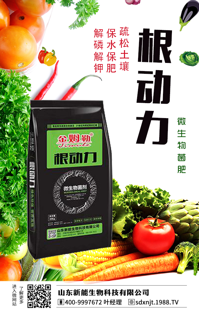 �R��������������νo�R���ʩ�ʣ�