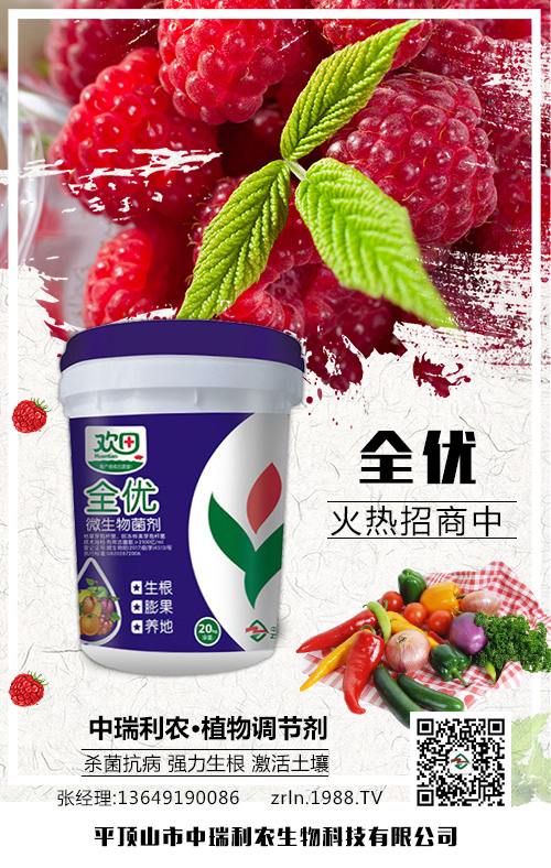 �N�������м���������⛷ʲ�������