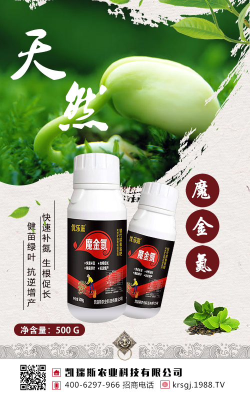 ���@��׷�����󶹸߮a(ch��n)����