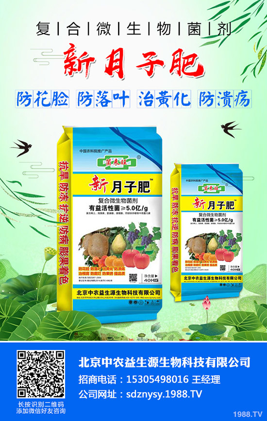 �＾��ײ�ʲô�r(sh��)��Nֲ���m���＾��ײ˵ķNֲ�r(sh��)�g���Nֲ����