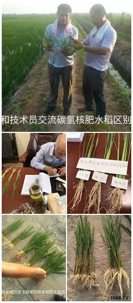 �ϰټ�ý�w��������쳬�^�W��ʳƷ�˜����̼��˷ʾ����@ô����