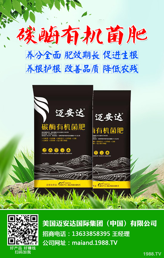 ����ʲô�r(sh��)��N���������N��(y��ng)ע����Щ���}��