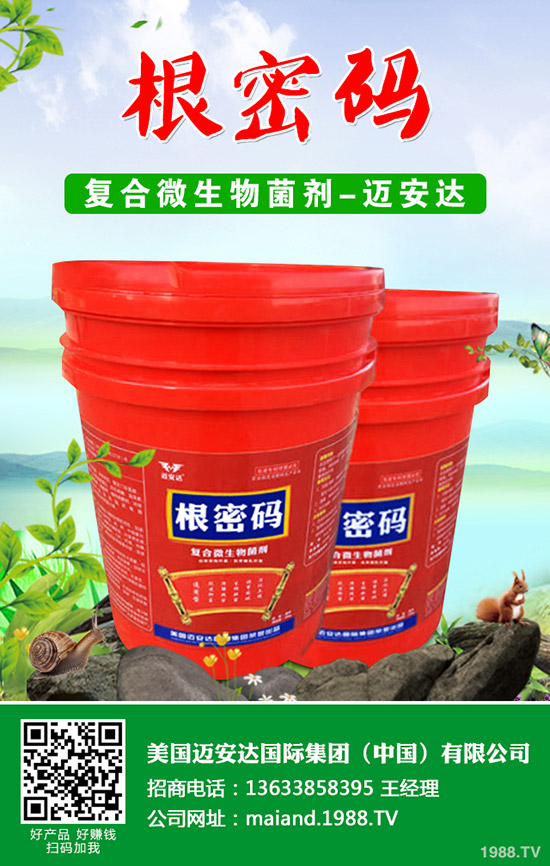 �����Jʲô�r(sh��)��Nֲ�������J�Nֲ���g(sh��)��