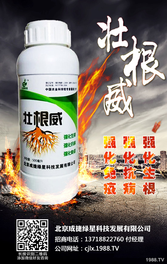 �ཷ�ķNֲ��������Щ���ཷ�Nֲ�^������Ҫע��Ď״��}