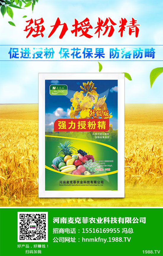 �������Щ�I(y��ng)�B(y��ng)�r(ji��)ֵ���Խ������Щ��̎����˵Ĺ�Ч�c����