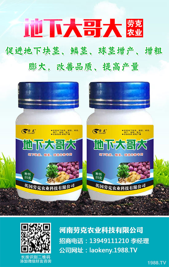 �������Щ�I(y��ng)�B(y��ng)�r(ji��)ֵ���Խ������Щ��̎����˵Ĺ�Ч�c����