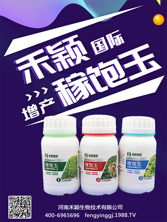 ����Nֲ���ի@�r�g������Nֲ�����L�h(hu��n)����