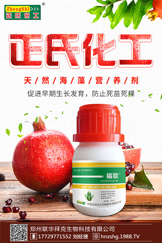 ���y����ʲô���������y���Ĺ�Ч�cʳ�ý�����