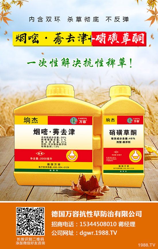 ��������ô�޽ӣ�������޽ӷ�����