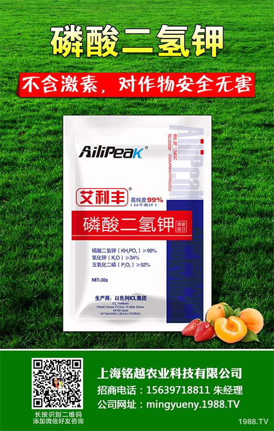 �㶹����������ЩΣ�����F(xi��n)��ԓ���ӷ��Σ��㶹���������η���