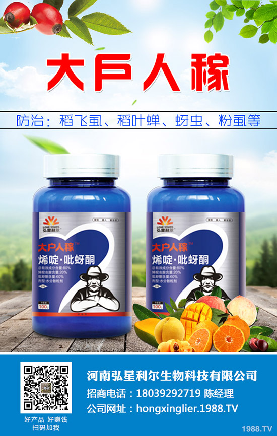 ���[�Nֲ��Ҫ��ô���������[�Nֲ�������g(sh��)Ҫ�c(di��n)��