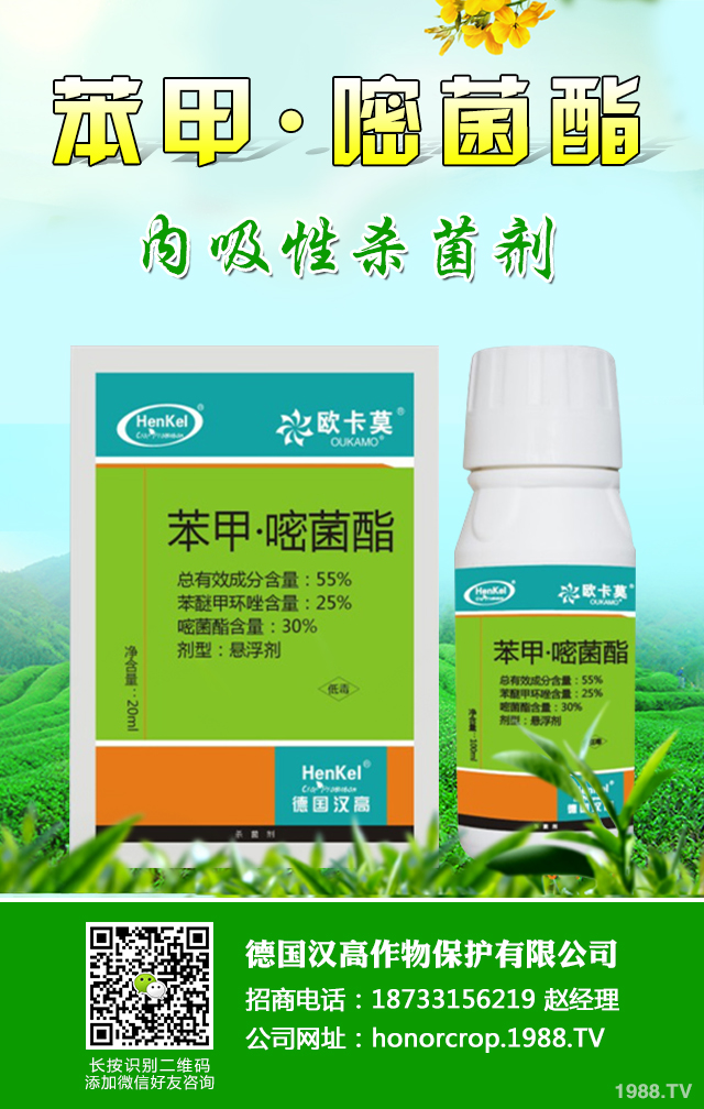 �n�S�ְ߲���ô�����n�S�ְ߲����μ���