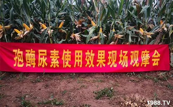 �ٿ���С�����a(ch��n)1471�����pø����ȫ������(j��)�����߮a(ch��n)������(d��ng)֮�o(w��)����