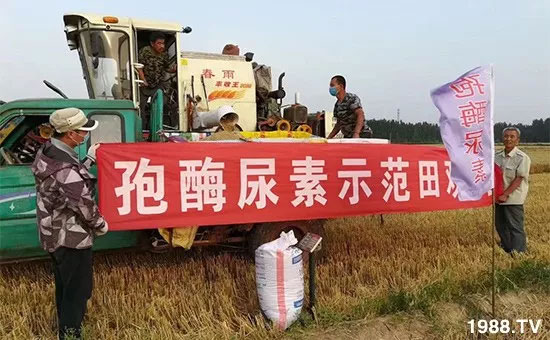 �ٿ���С�����a(ch��n)1471��pø����ȫ������(j��)�����߮a(ch��n)������(d��ng)֮�o(w��)����