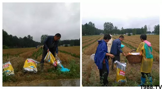 �ٿ���С�����a(ch��n)1471�����pø����ȫ������(j��)�����߮a(ch��n)������(d��ng)֮�o(w��)����