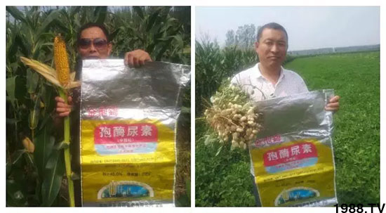 �ٿ���С�����a(ch��n)1471��pø����ȫ������(j��)�����߮a(ch��n)������(d��ng)֮�o(w��)����