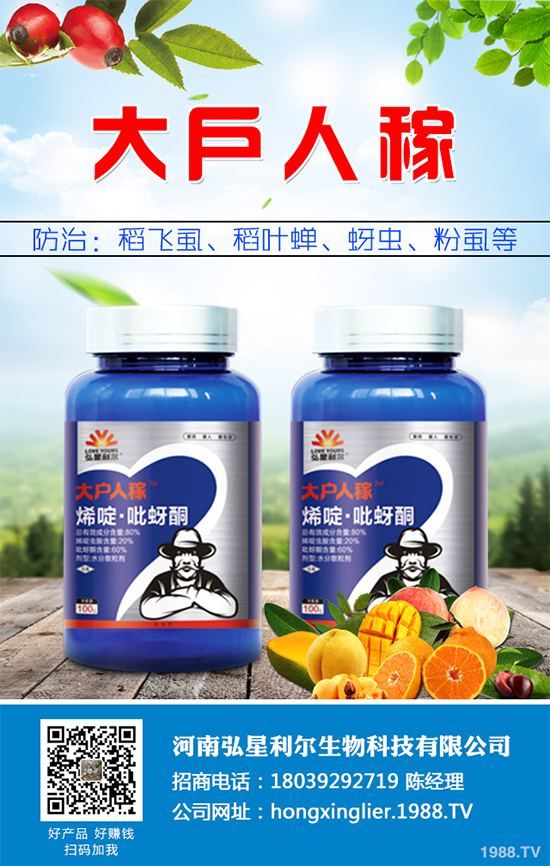 ���{(l��n)���x���r��