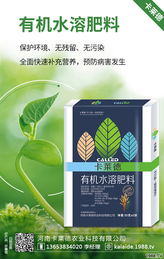 �G�}�L��̫�L��ô�k���G�}���޼���������Щ��