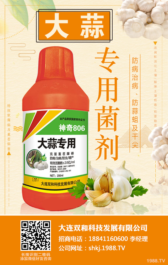 �����ز粡����η����������ز粡�����μ���