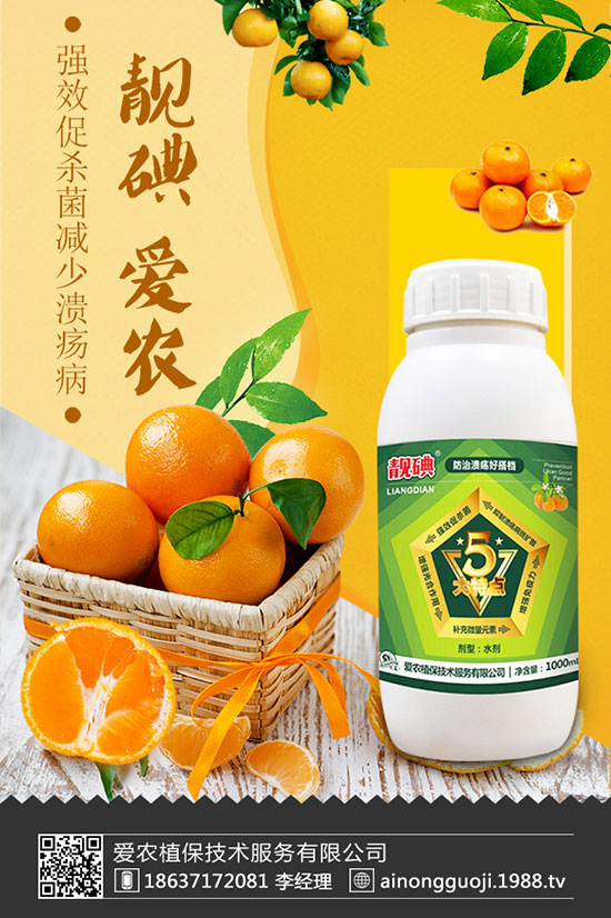 ���m����ηNֲ�����m���Nֲ�r(sh��)�g��������